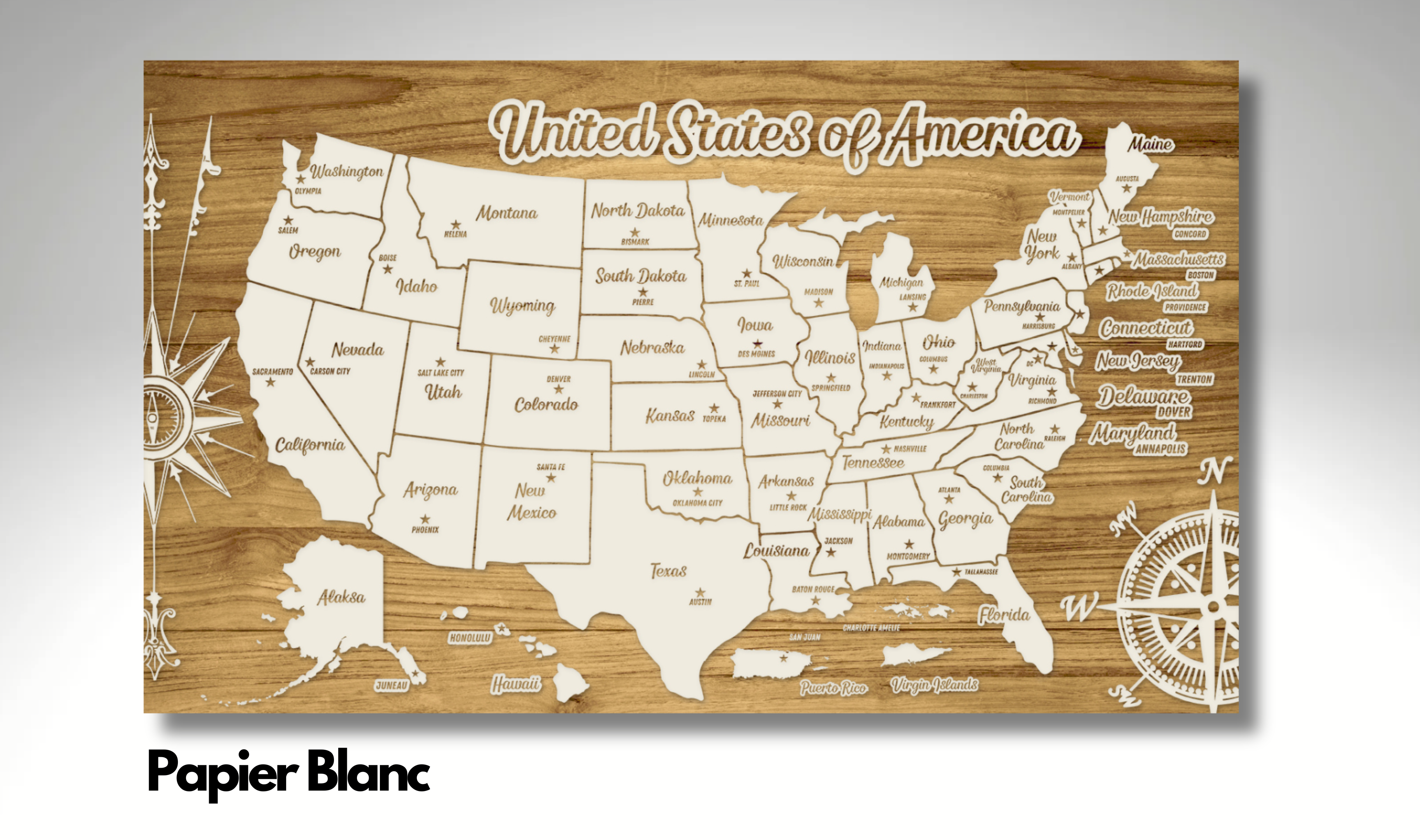 United States of America - Pushpin Map on Wood