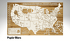 Football Stadiums Across America  | Pushpin Map on Wood