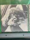 Custom - Photo Coasters