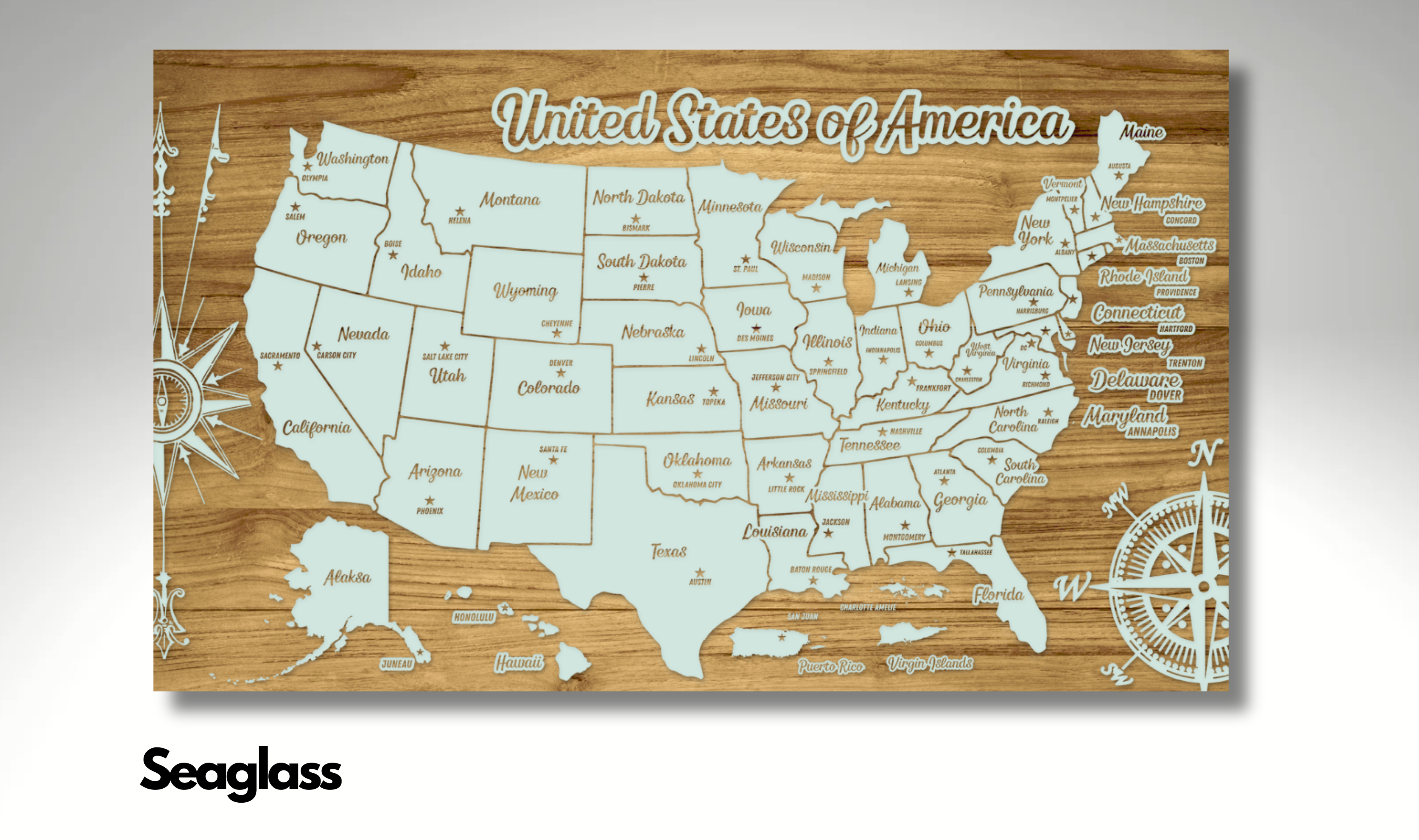 United States of America - Pushpin Map on Wood