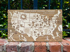 Major League Baseball Stadiums Across America | Pushpin Map on Wood