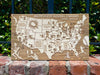 MLB Stadiums - Pushpin Map on Wood
