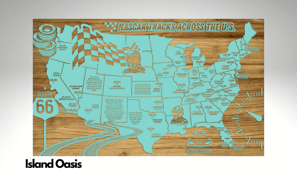 NASCAR Speedways Across the U.S. | Pushpin Map on Wood