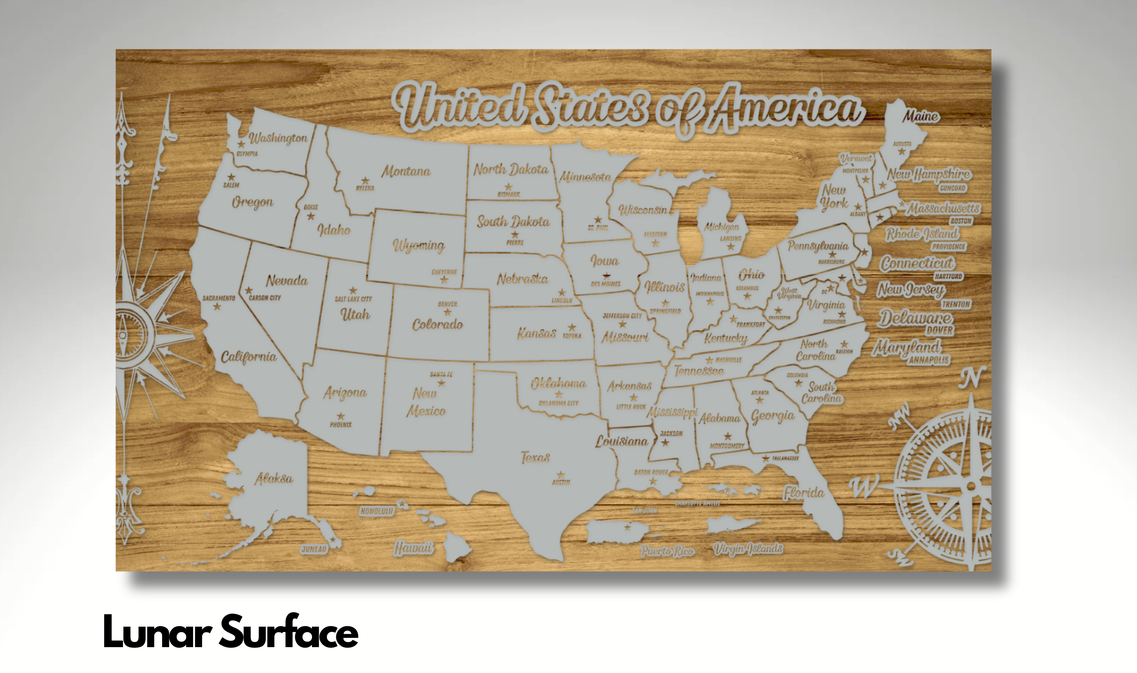 United States of America - Pushpin Map on Wood