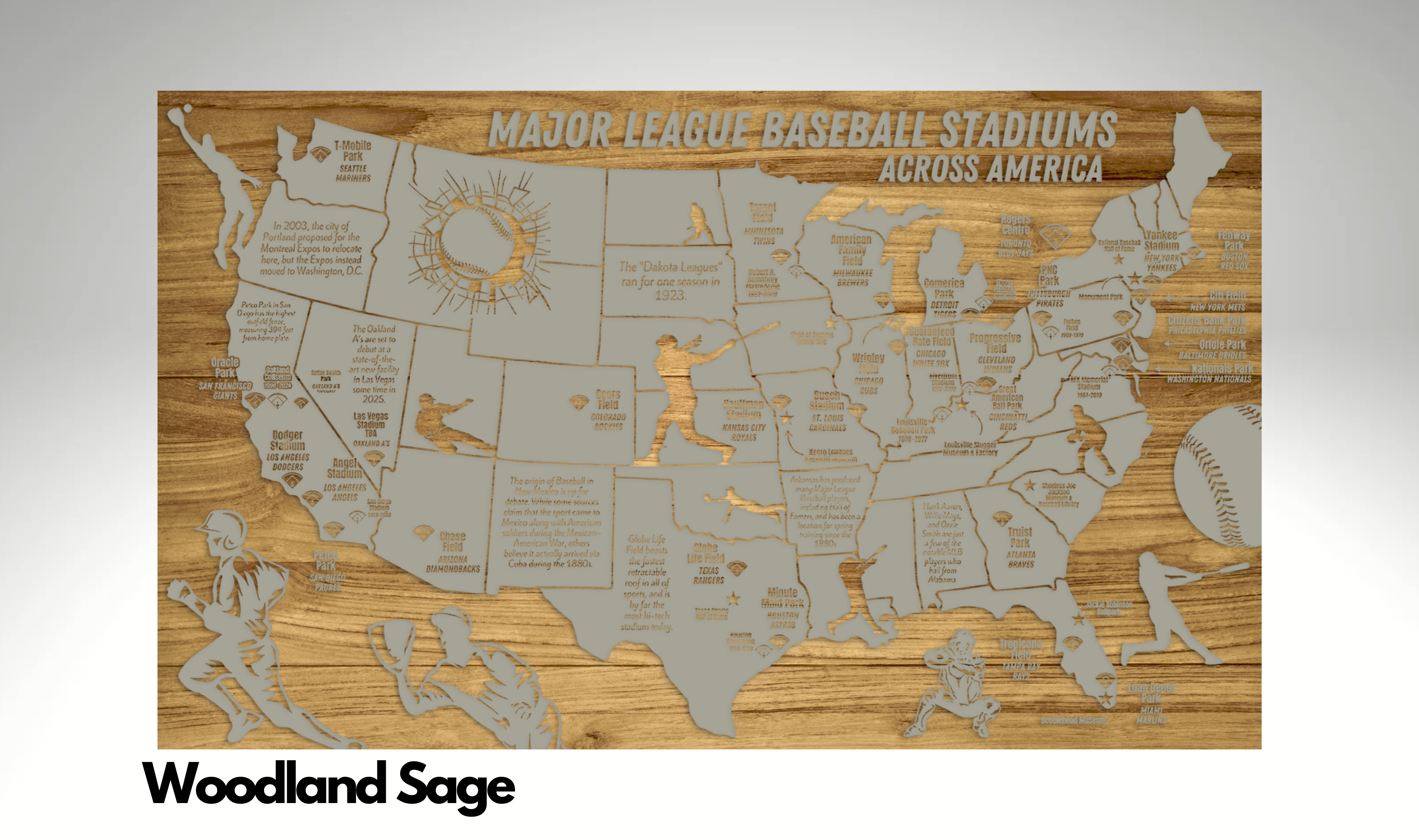 Major League Baseball Stadiums Across America | Pushpin Map on Wood