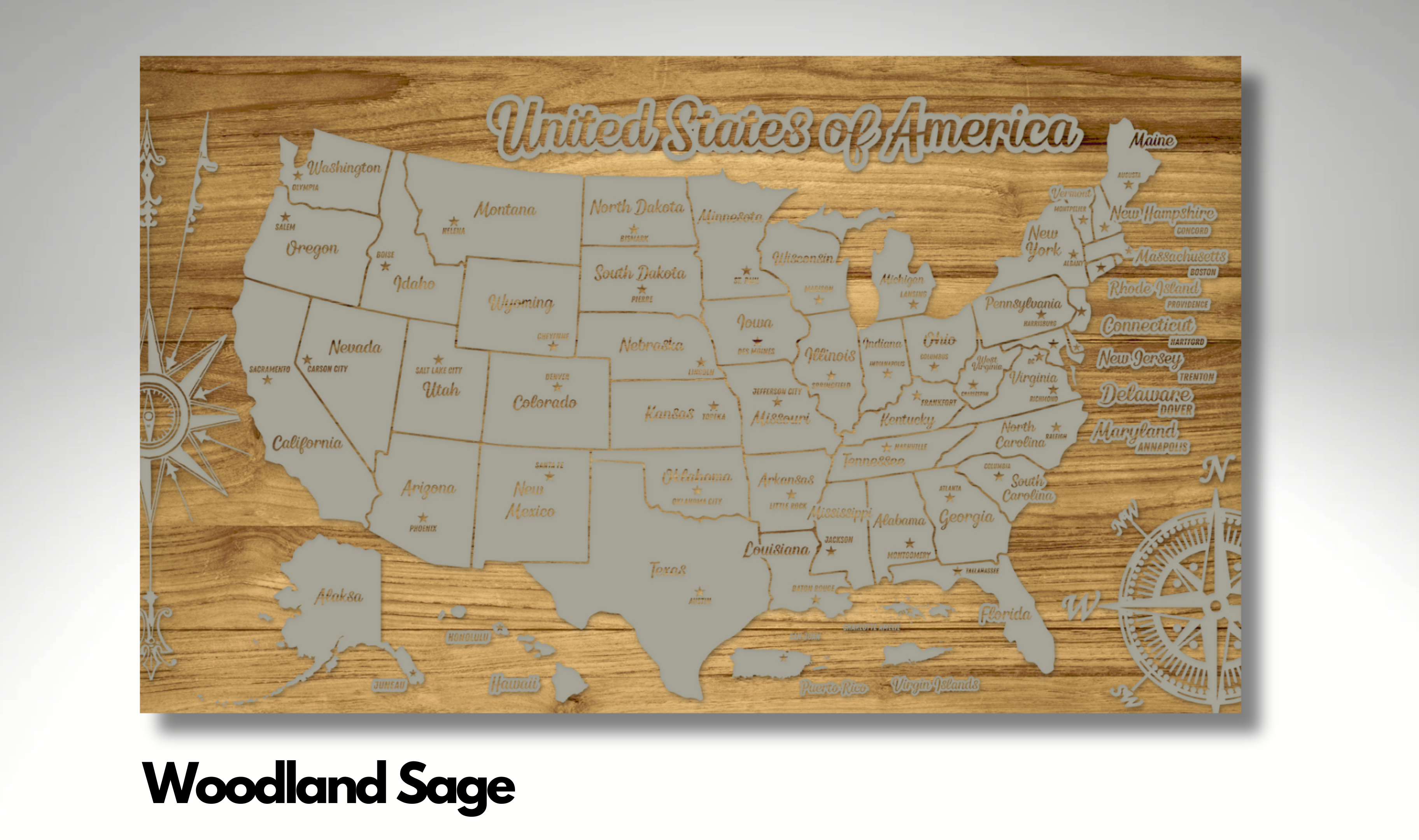 United States of America - Pushpin Map on Wood