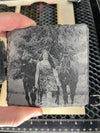 Photos Laser Etched on Slate
