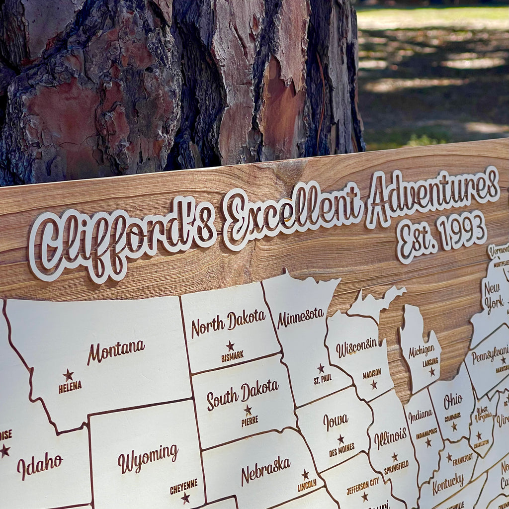 United States of America - Pushpin Map on Wood