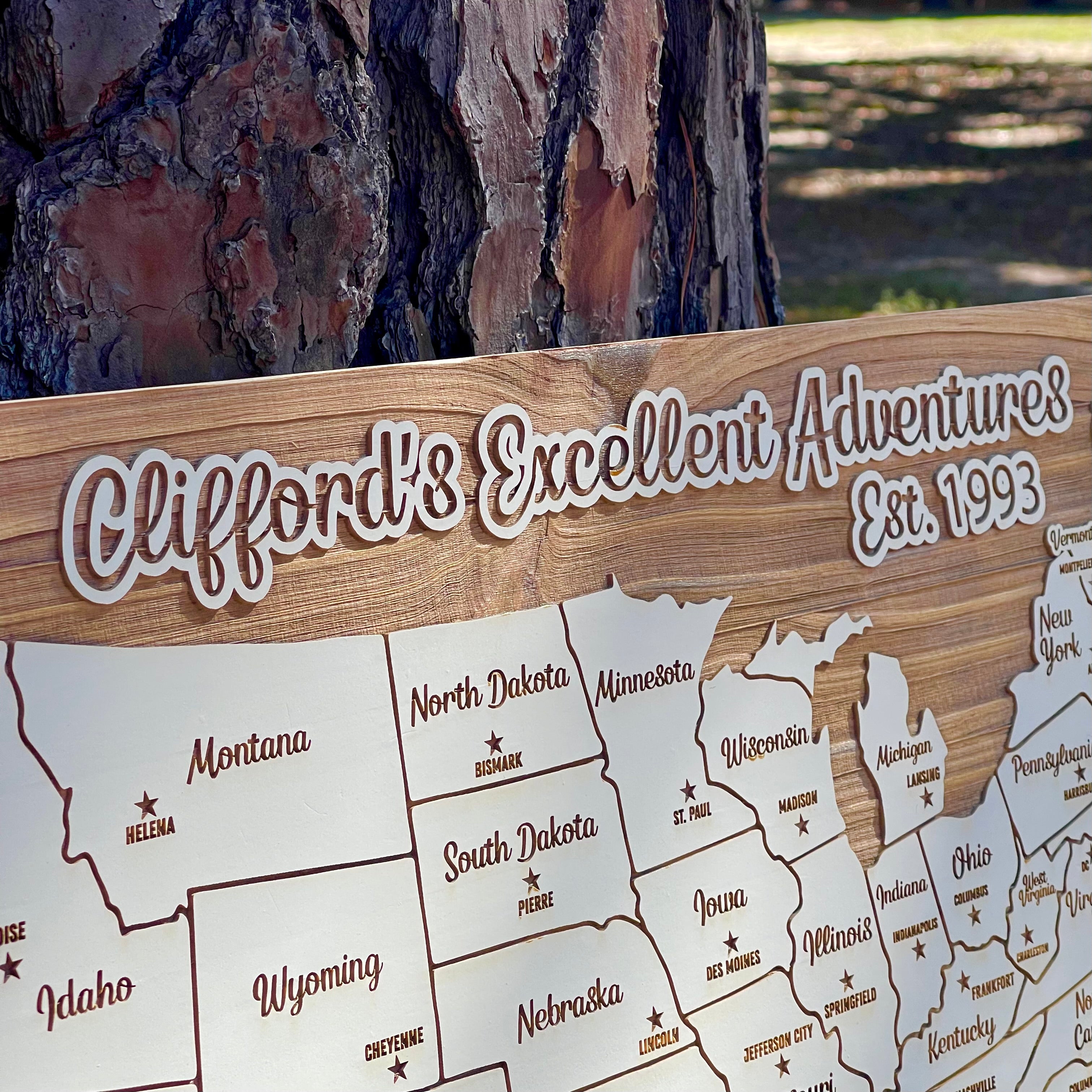 United States of America - Pushpin Map on Wood