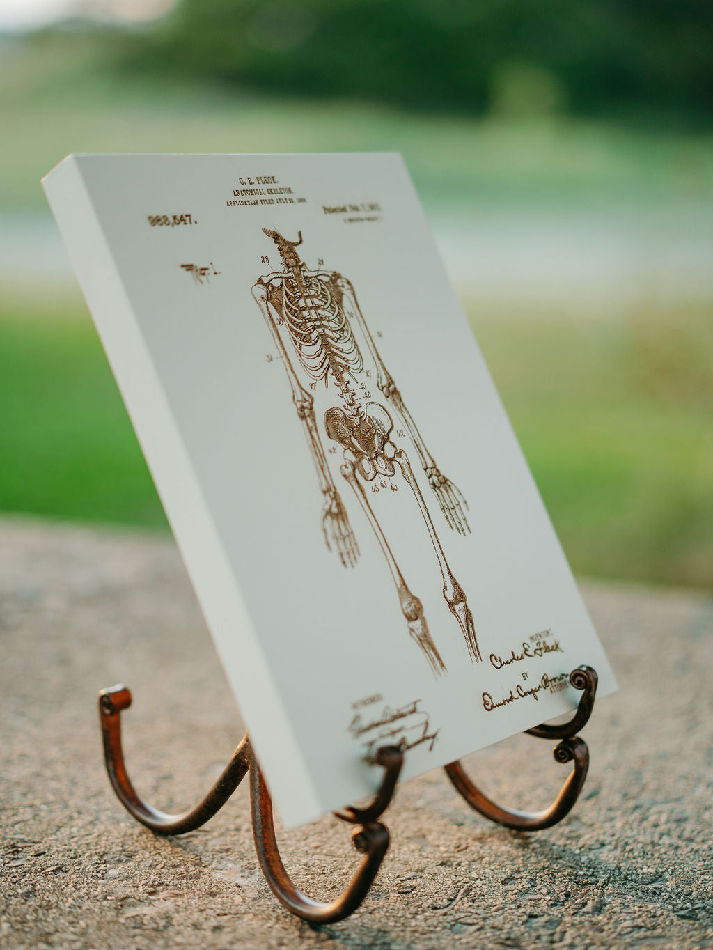 Anatomical Skeleton - Patent on Wood