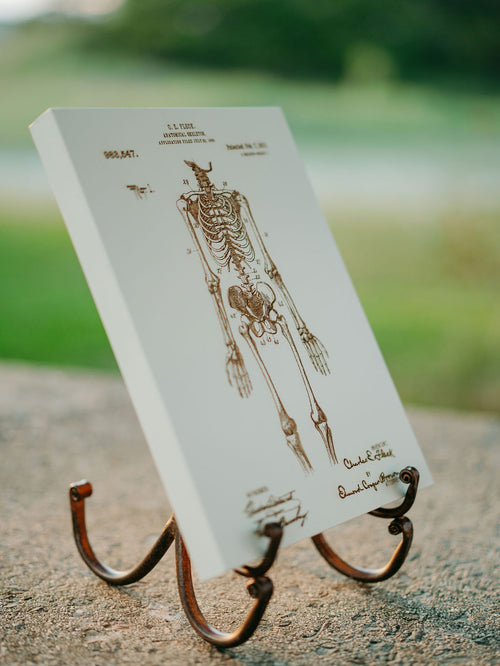 Anatomical Skeleton - Patent on Wood
