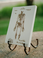 Anatomical Skeleton - Patent on Wood