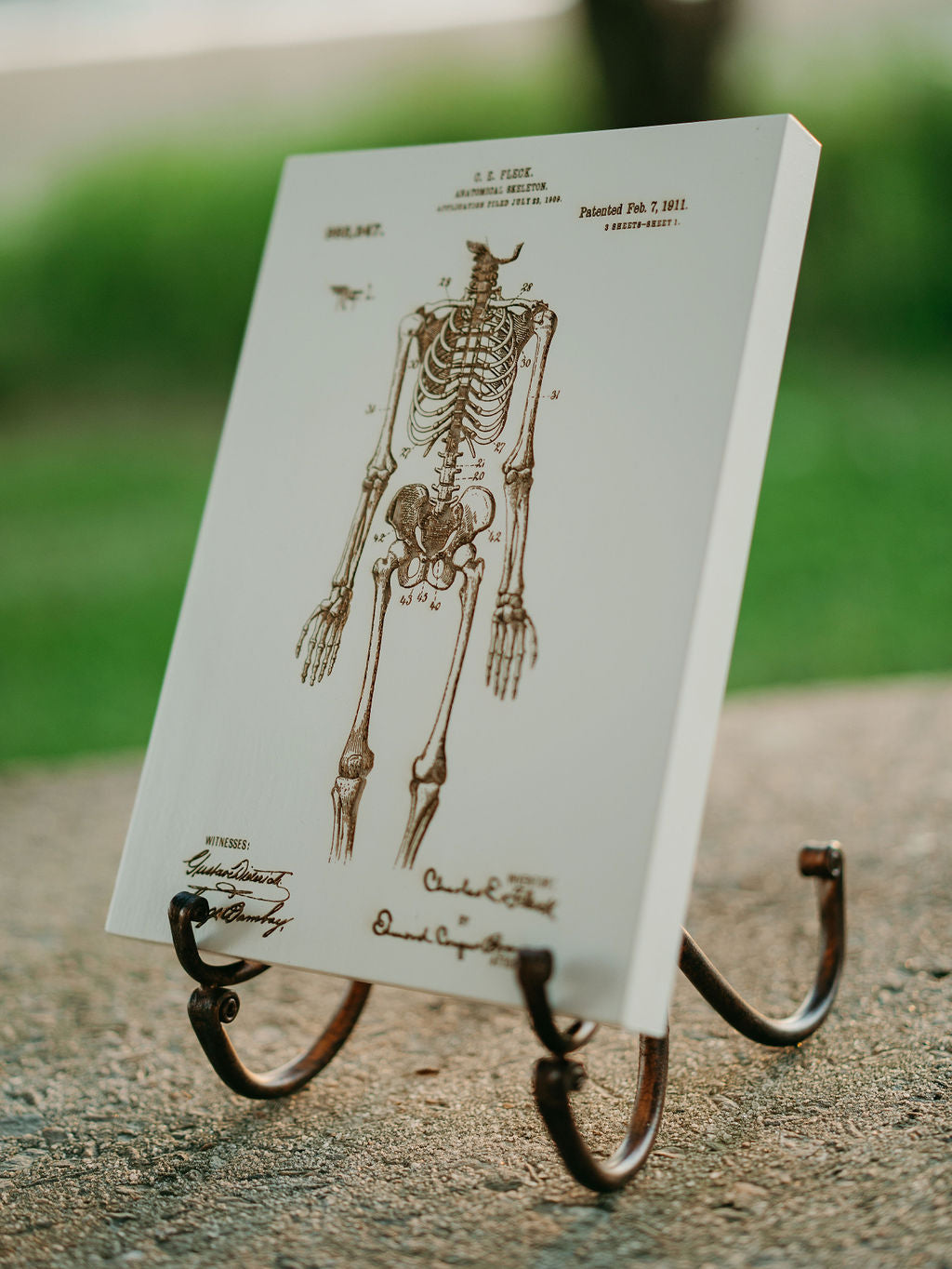 Anatomical Skeleton - Patent on Wood