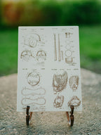 Baseball Equipment - Four Patent Collage on Wood