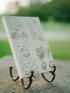 Baseball Equipment - Four Patent Collage on Wood