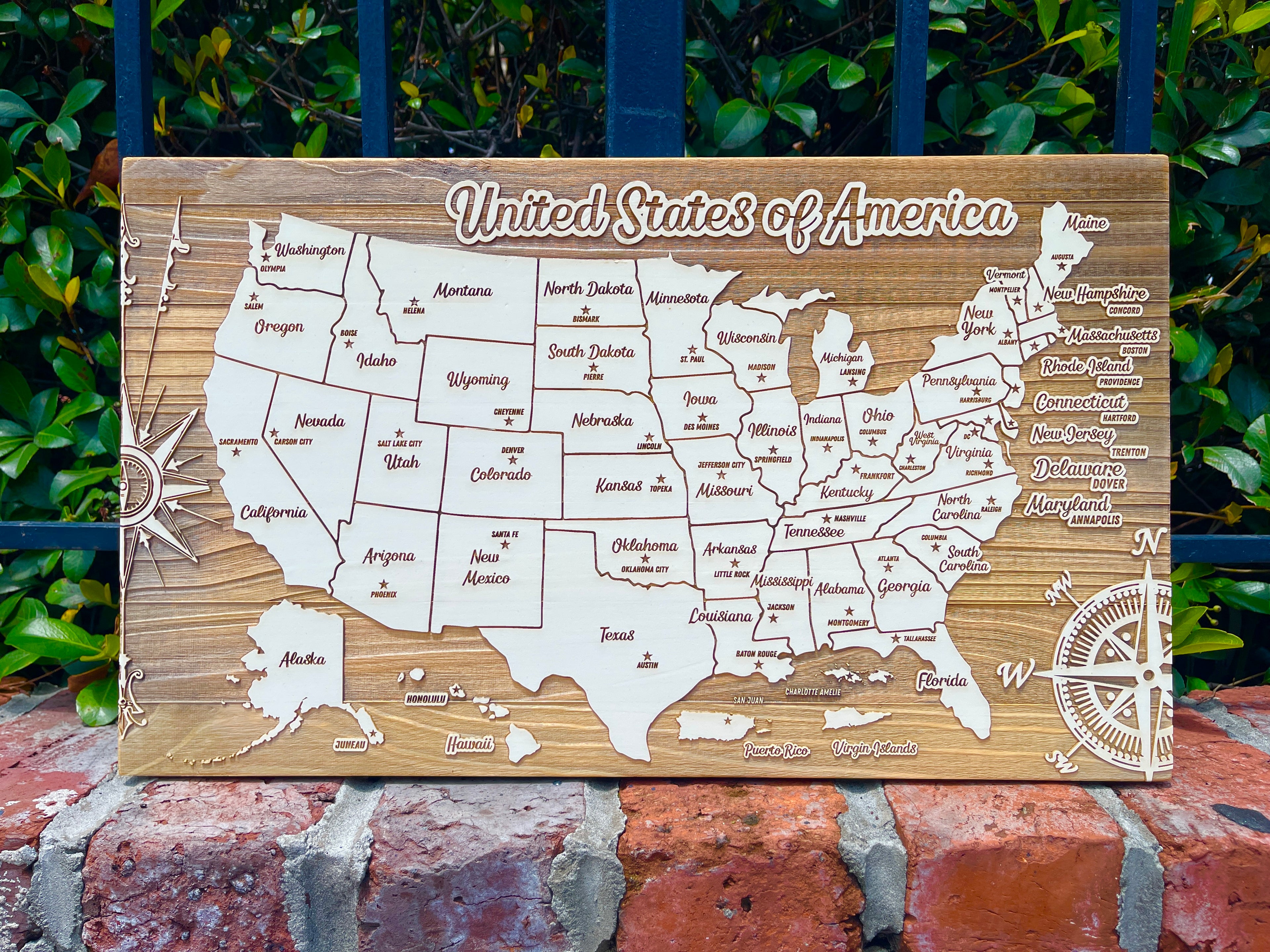 United States of America - Pushpin Map on Wood