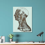 Gray's Anatomy Head