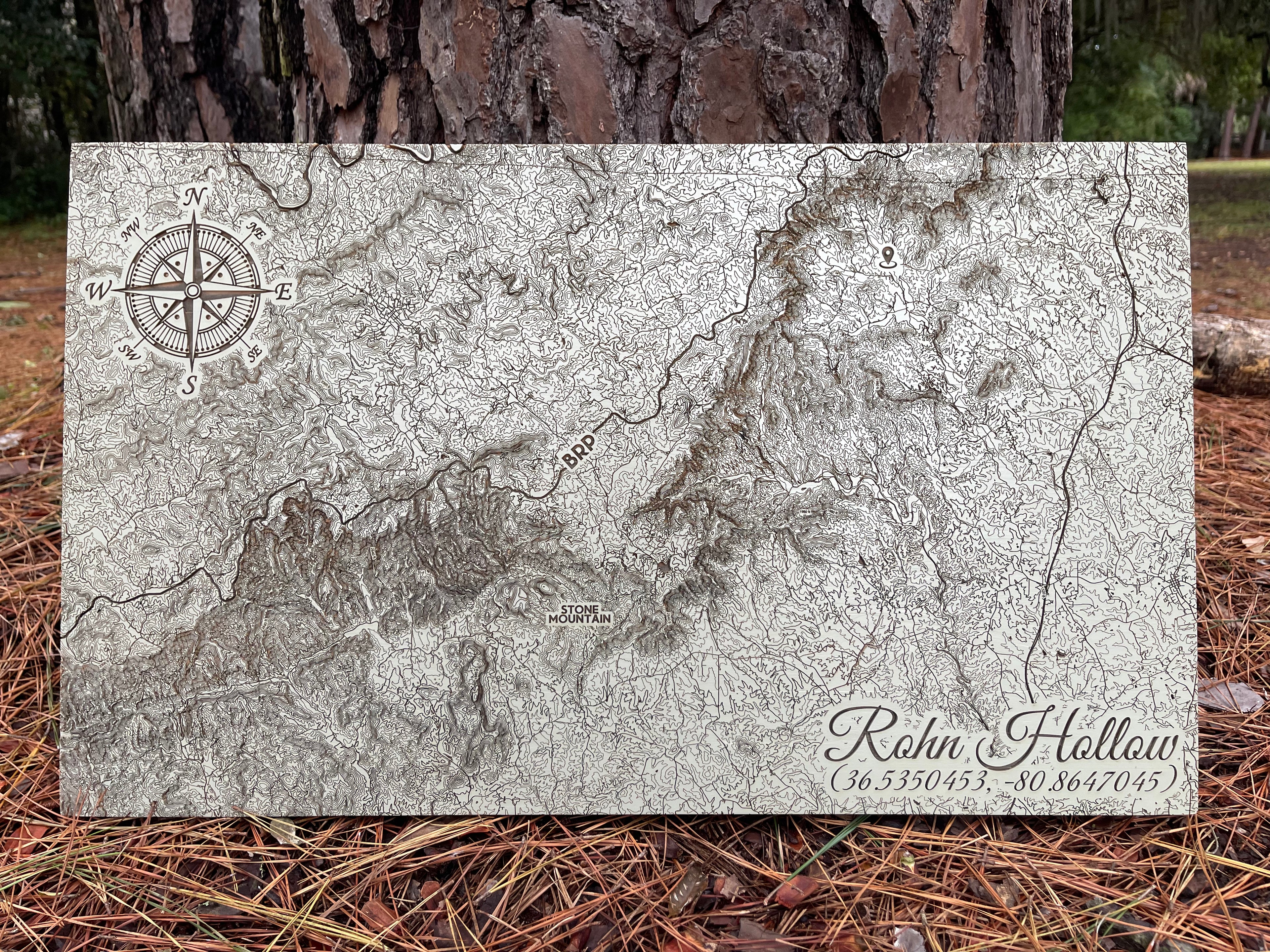 Custom Map on Wood