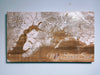 Topographic Map on Wood