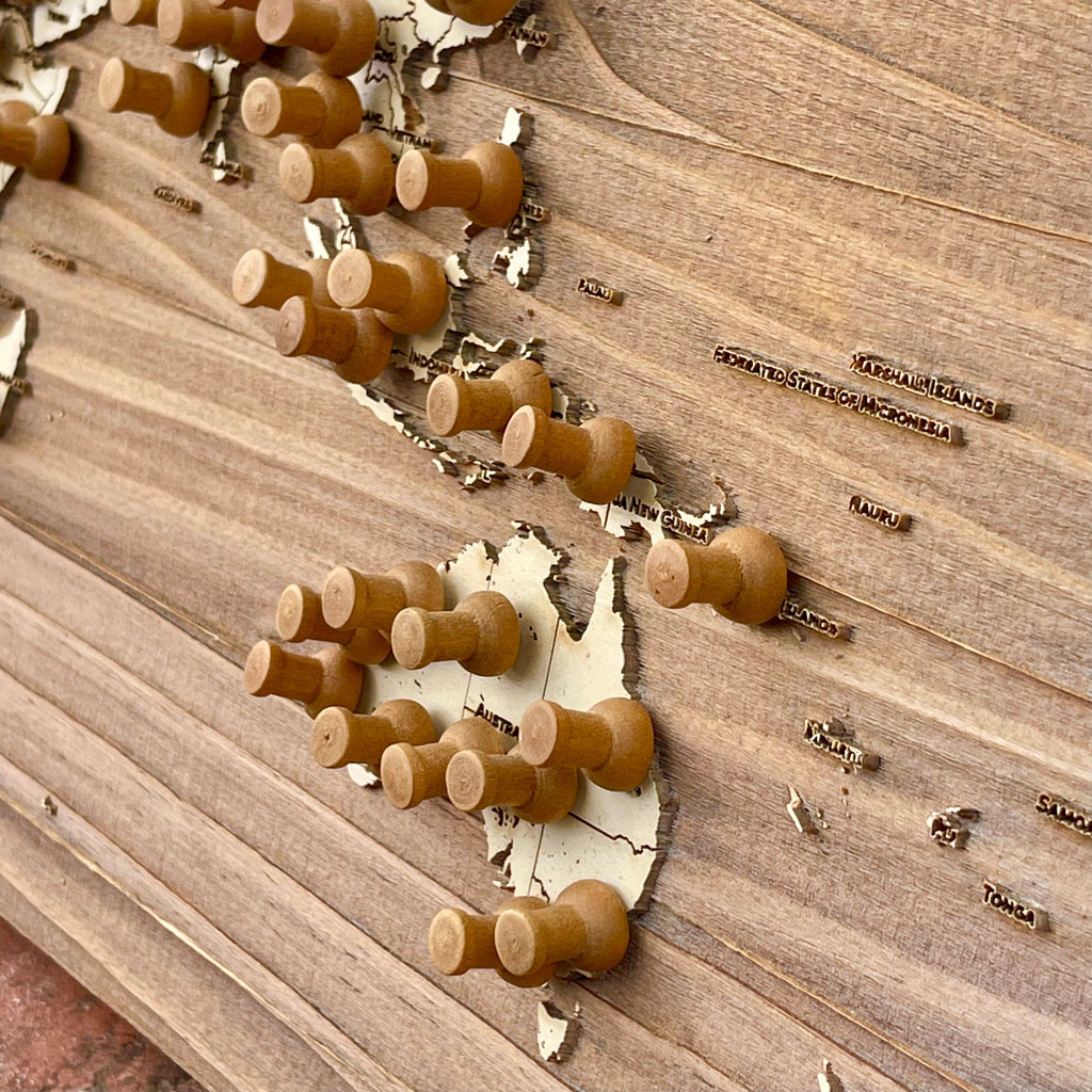 The World | Pushpin Map on Wood