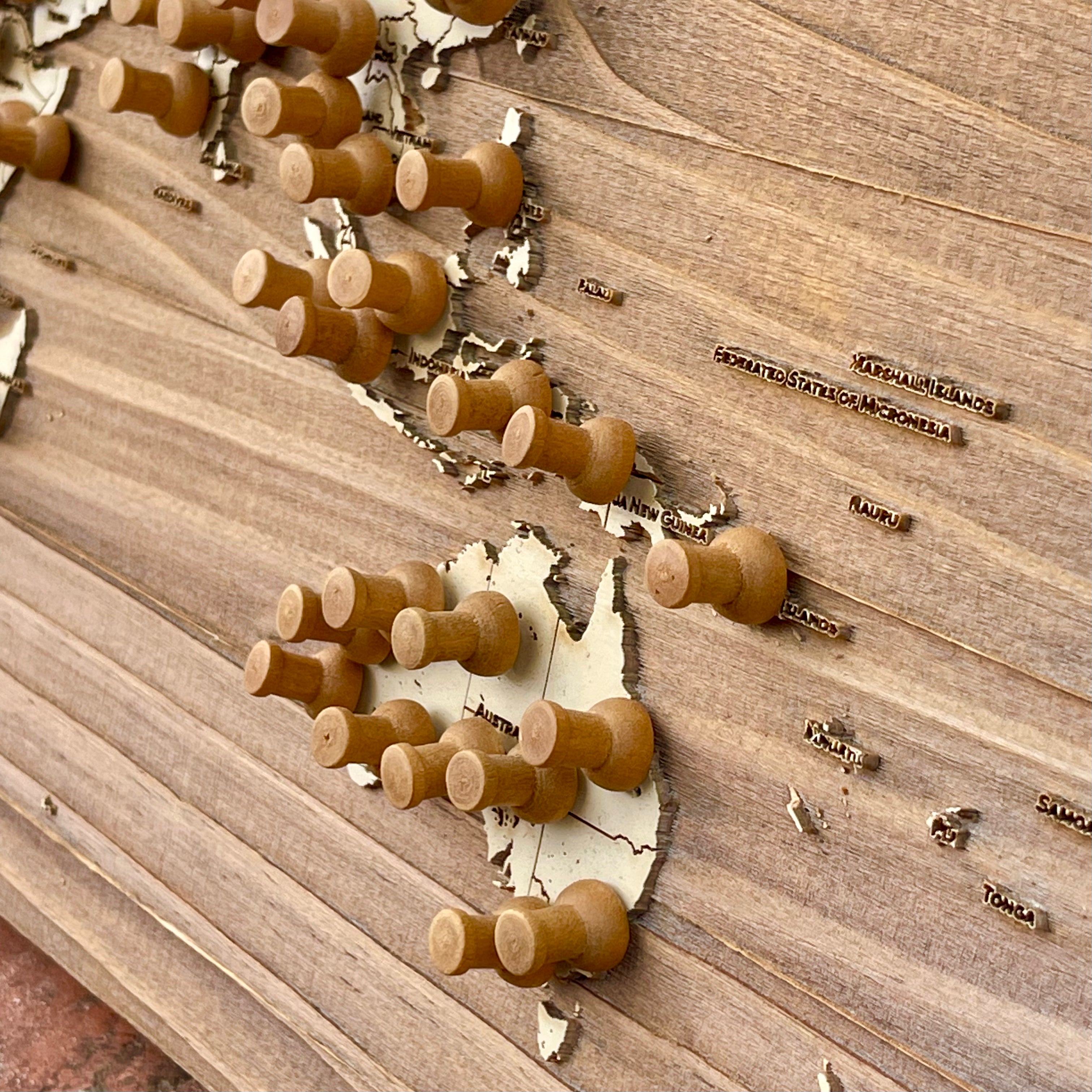 The World | Pushpin Map on Wood