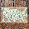 Major League Baseball Stadiums Across America | Pushpin Map on Wood