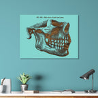 Gray‚ Mandible, Side Jaw