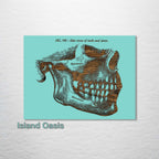 Gray‚ Mandible, Side Jaw