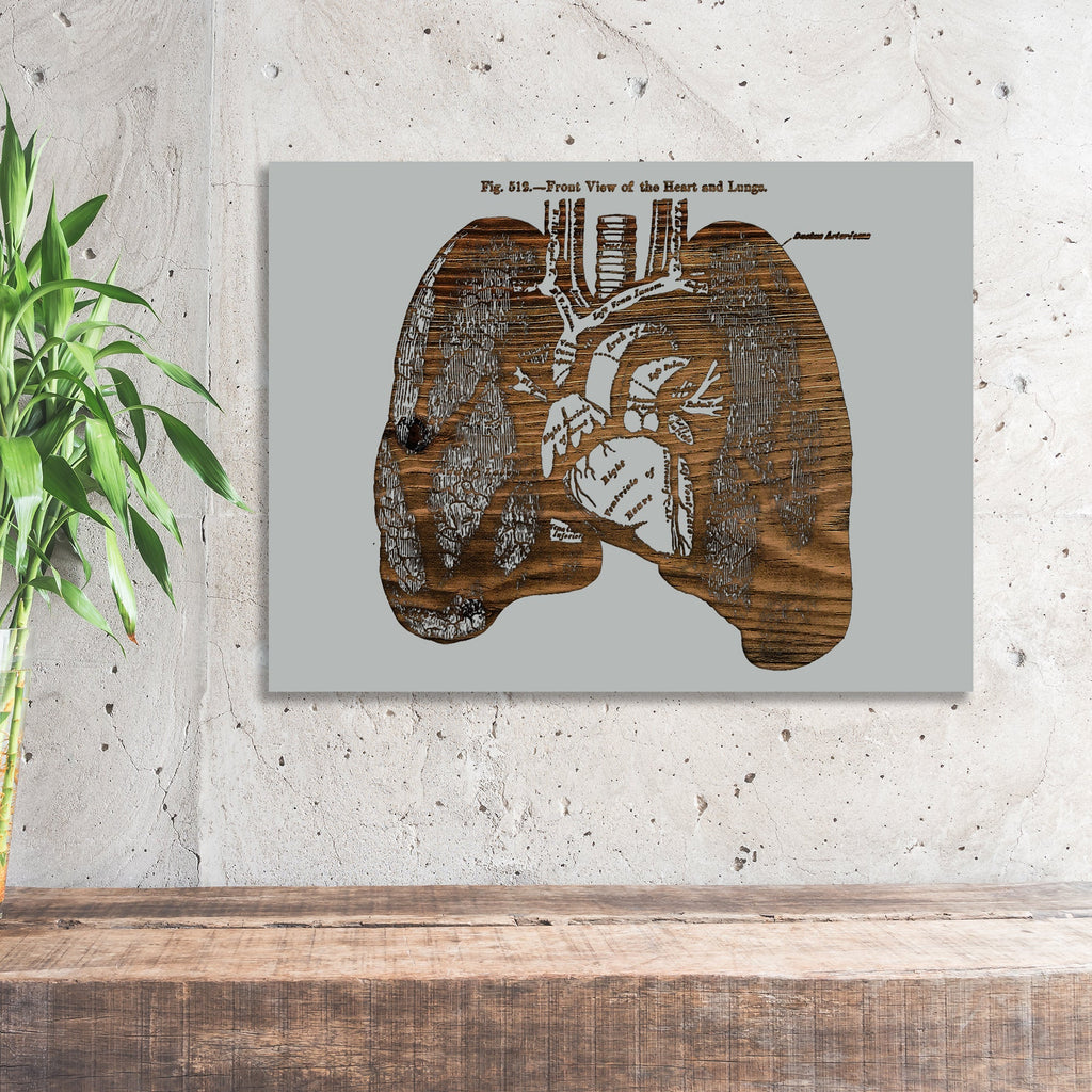 Gray's Lungs Front