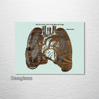 Gray's Lungs Front