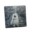 Custom | Photo Coasters on Slate
