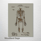 1911 Anatomical Skeleton Patent