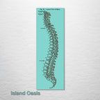 Gray's Anatomy Spine