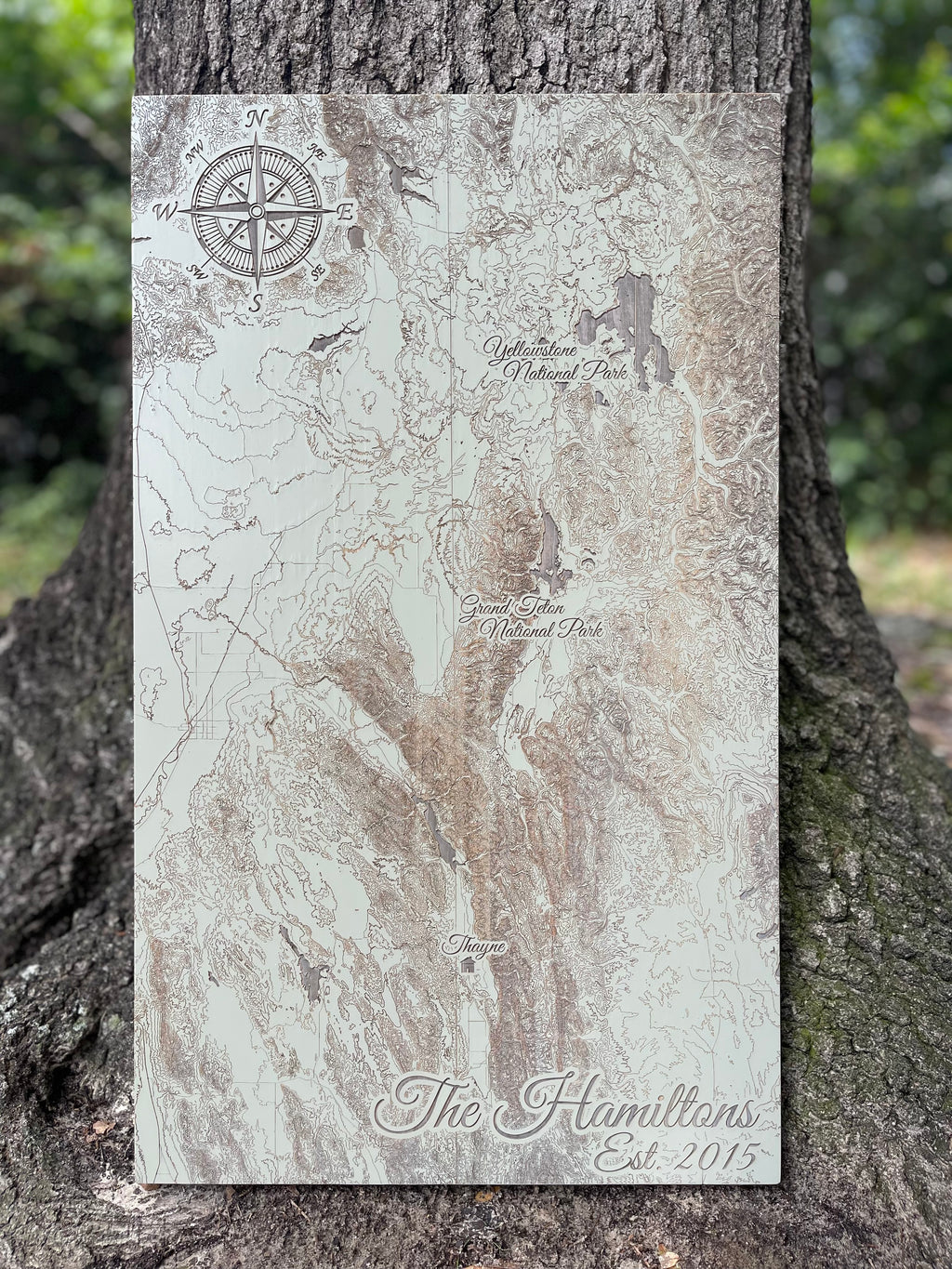 Custom Map on Wood