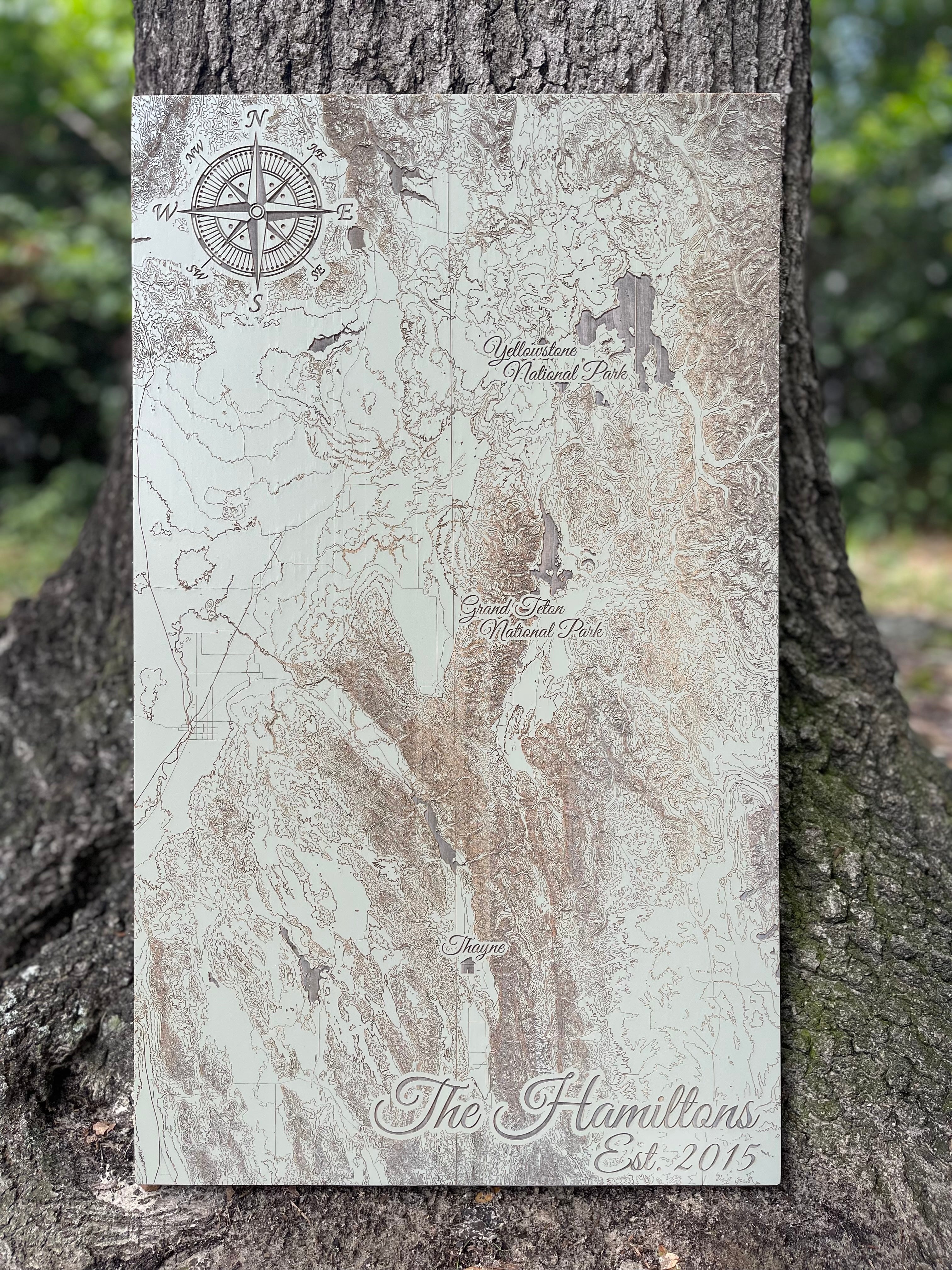 Custom Map on Wood