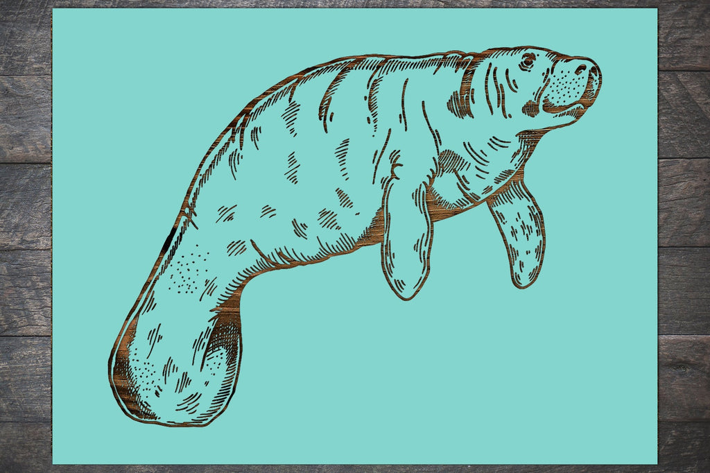 Manatee
