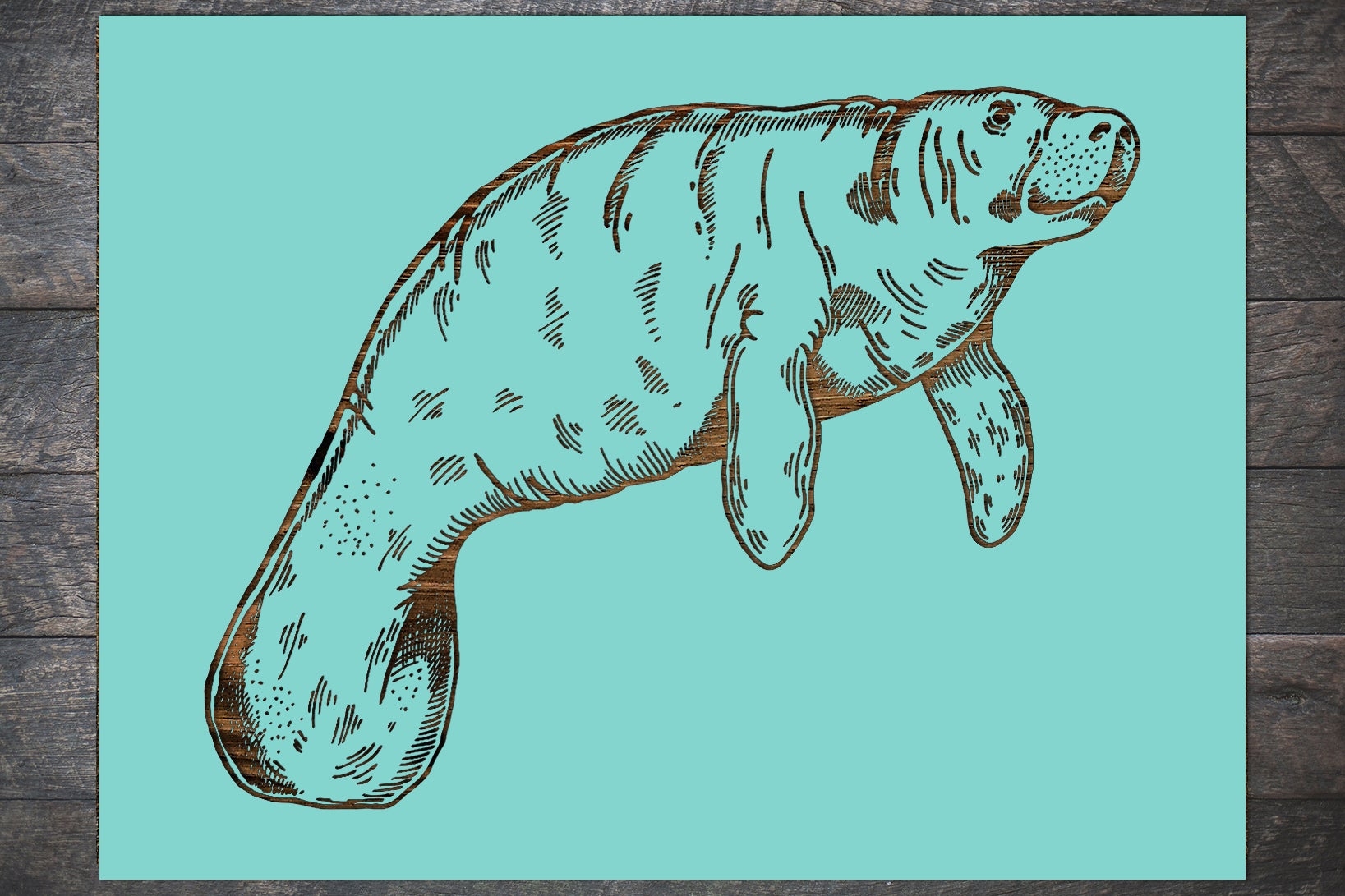 Manatee