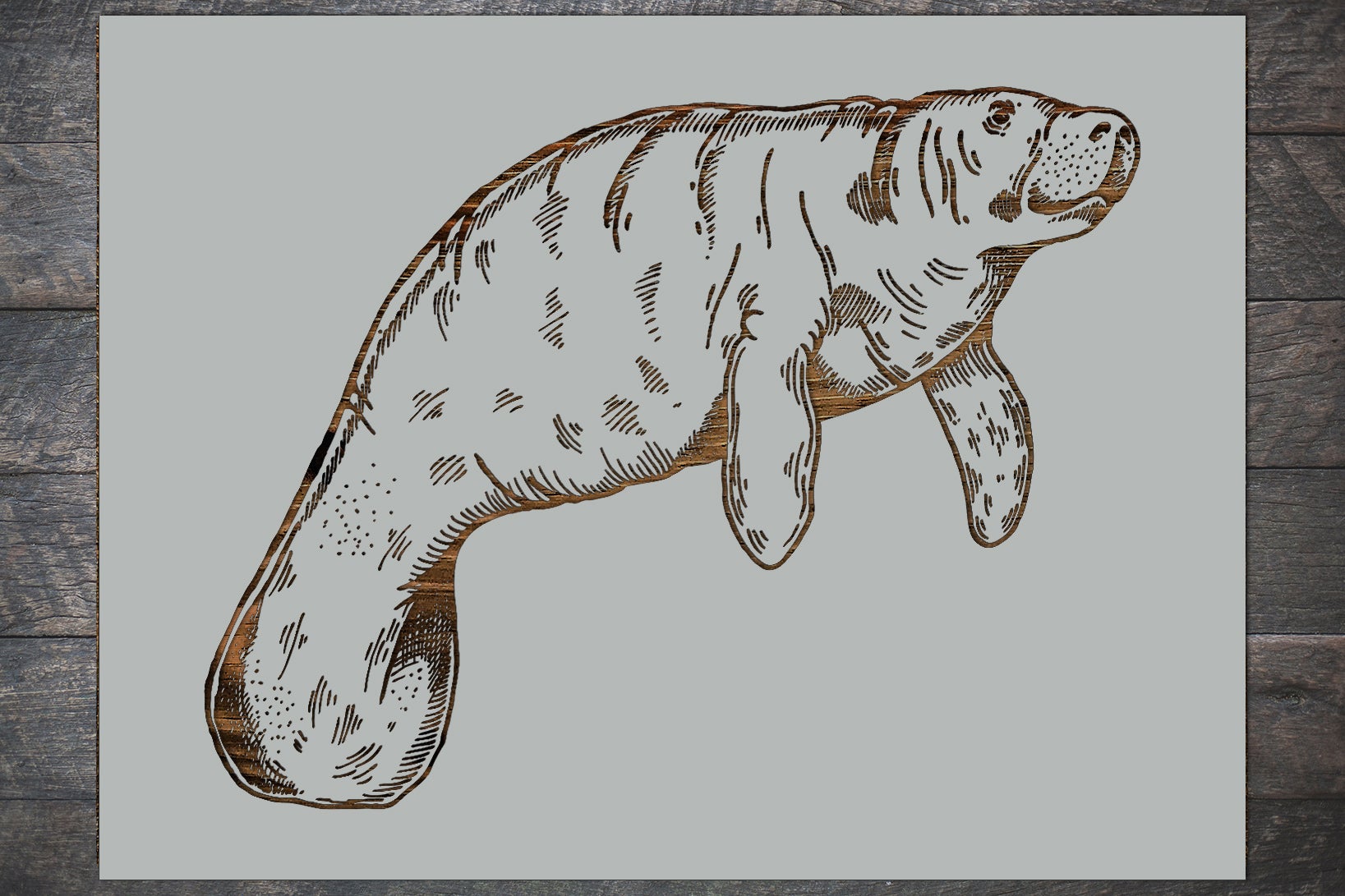 Manatee
