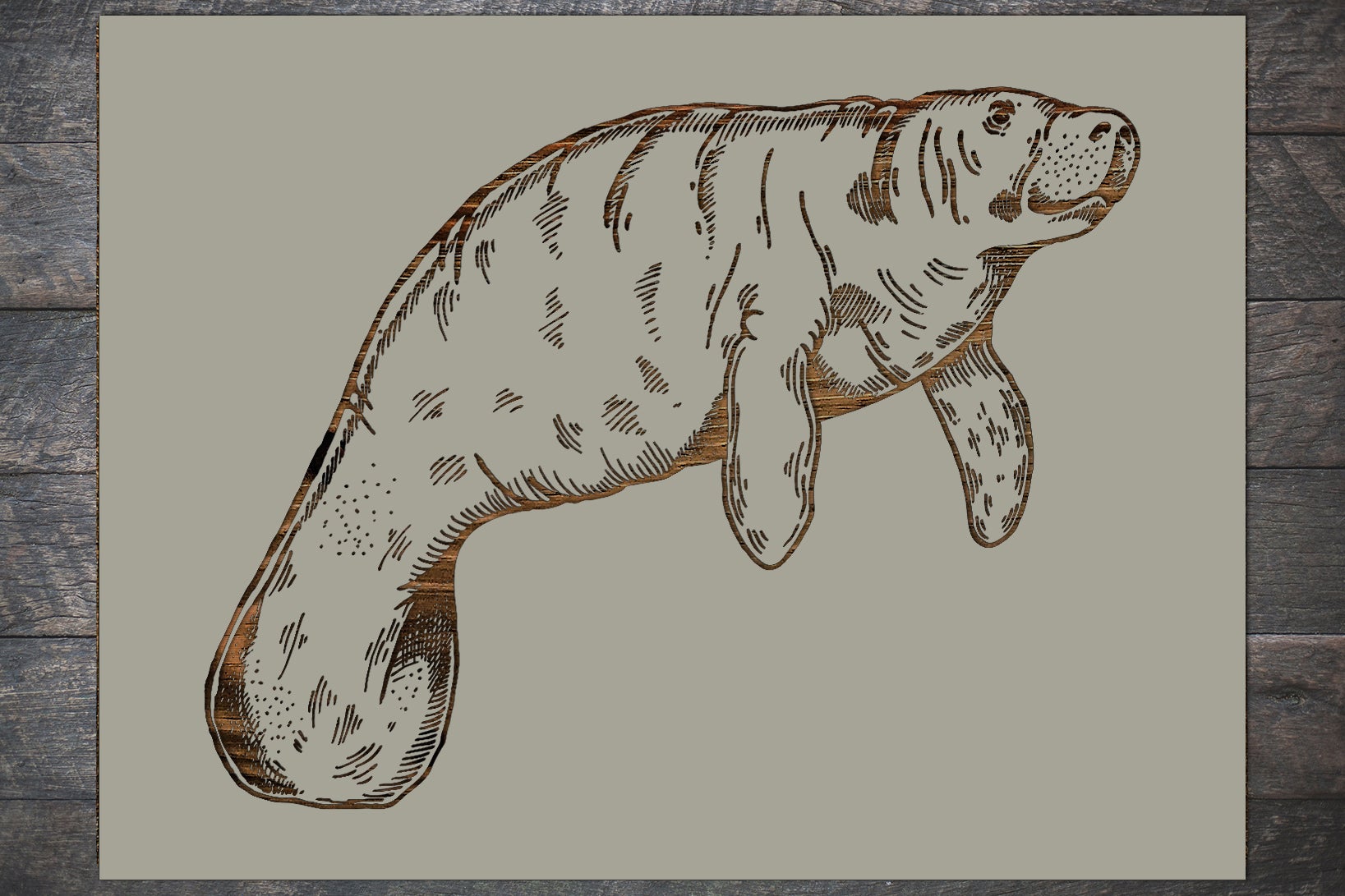 Manatee