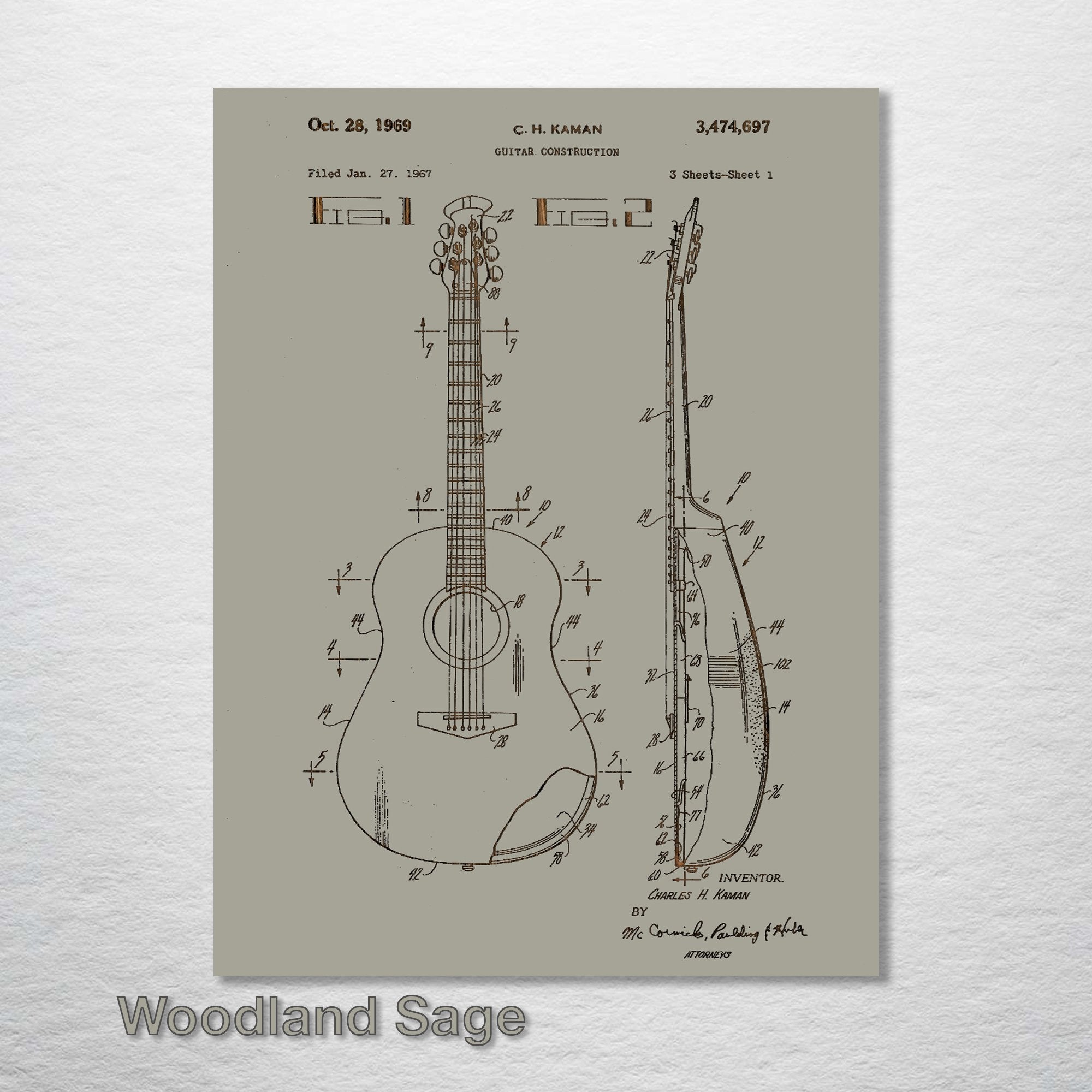 Acoustic Guitar - Patent on Wood