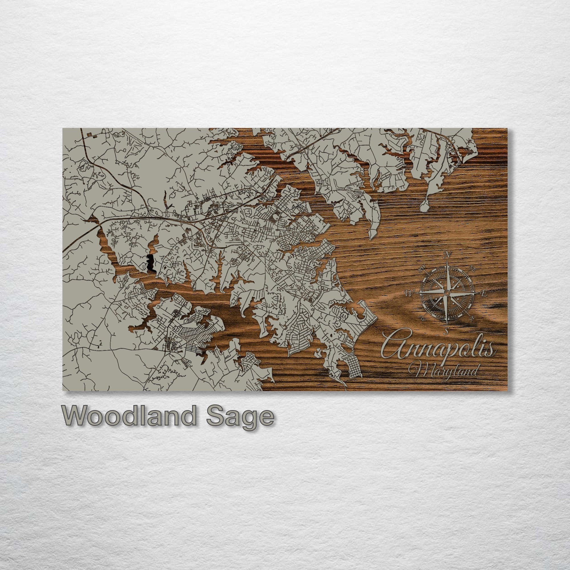 Annapolis, MD - Street Map on Wood