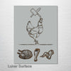 Butcher - Chicken