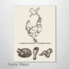 Butcher - Chicken