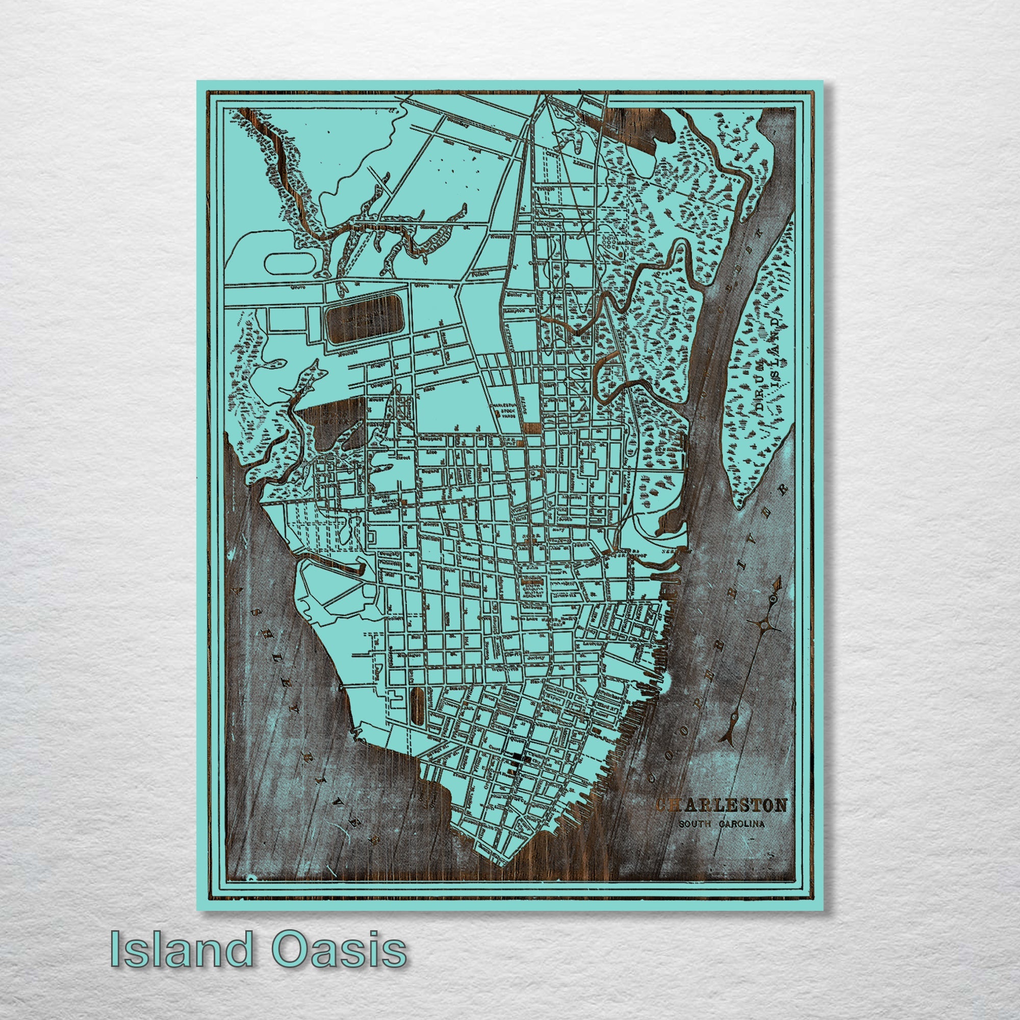 Charleston, SC 1898 - Historic Map on Wood