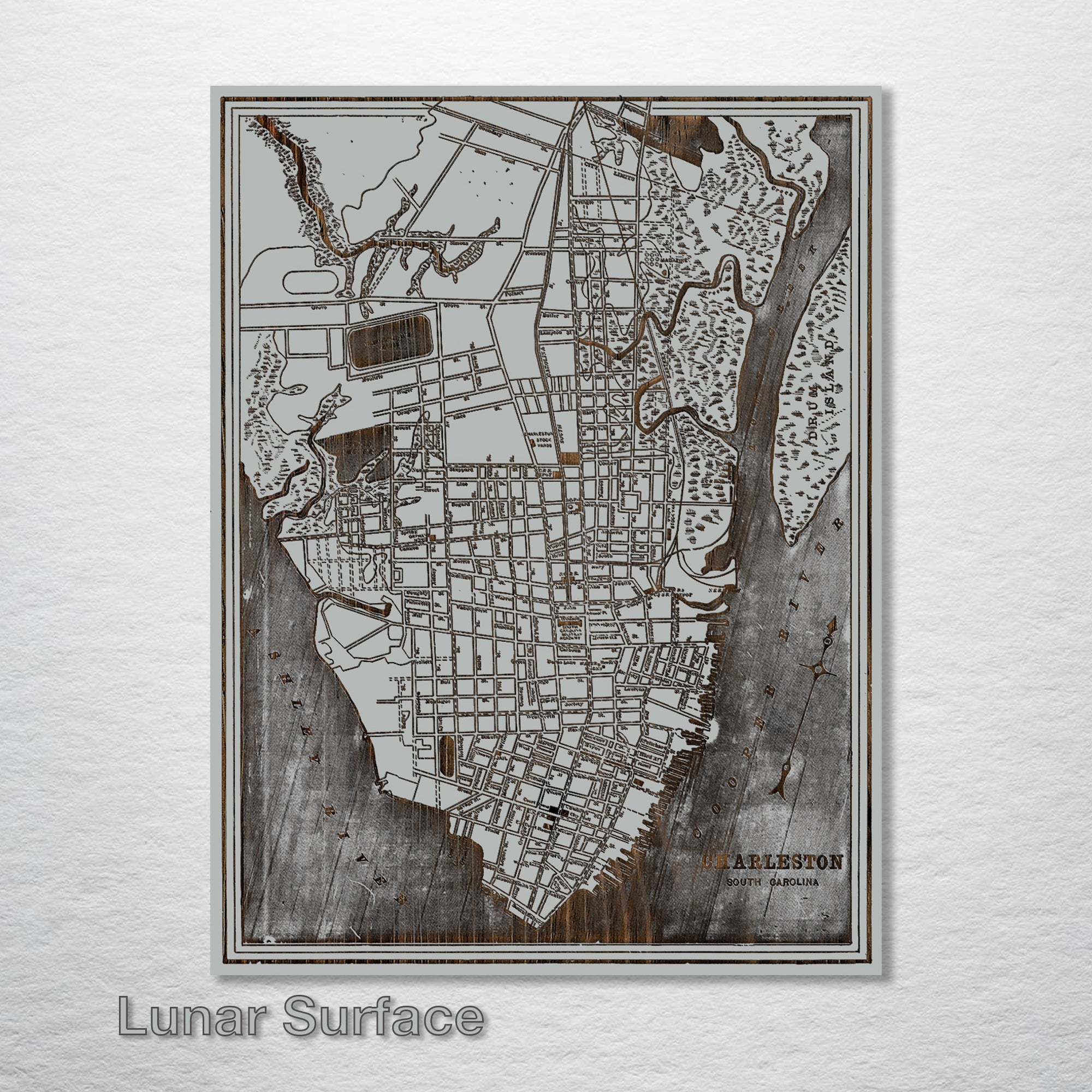 Charleston, SC 1898 - Historic Map on Wood