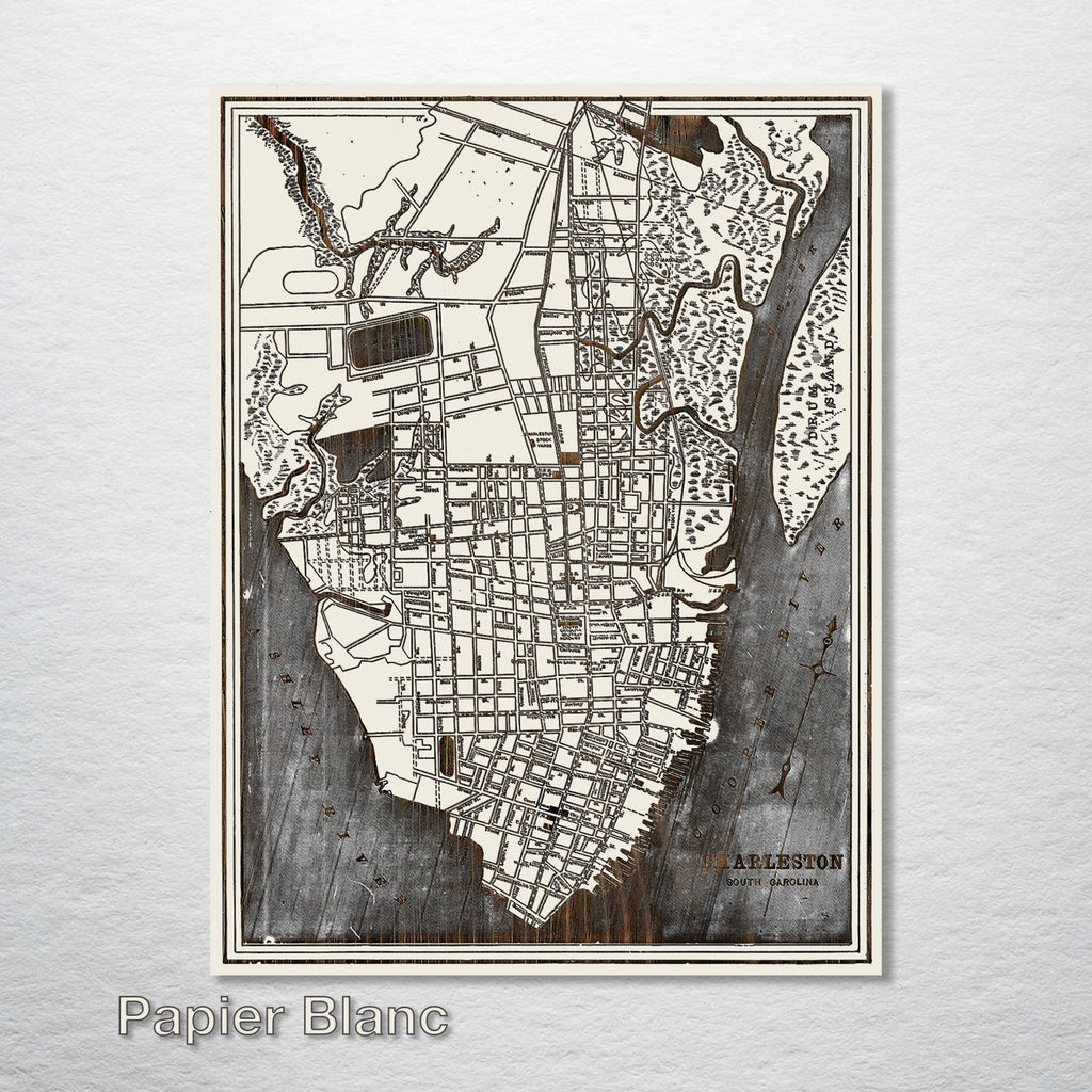 Charleston, SC 1898 - Historic Map on Wood