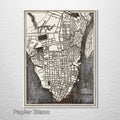 Charleston, SC 1898 - Historic Map on Wood