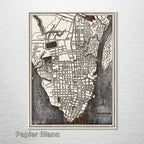 Charleston, SC 1898 - Historic Map on Wood
