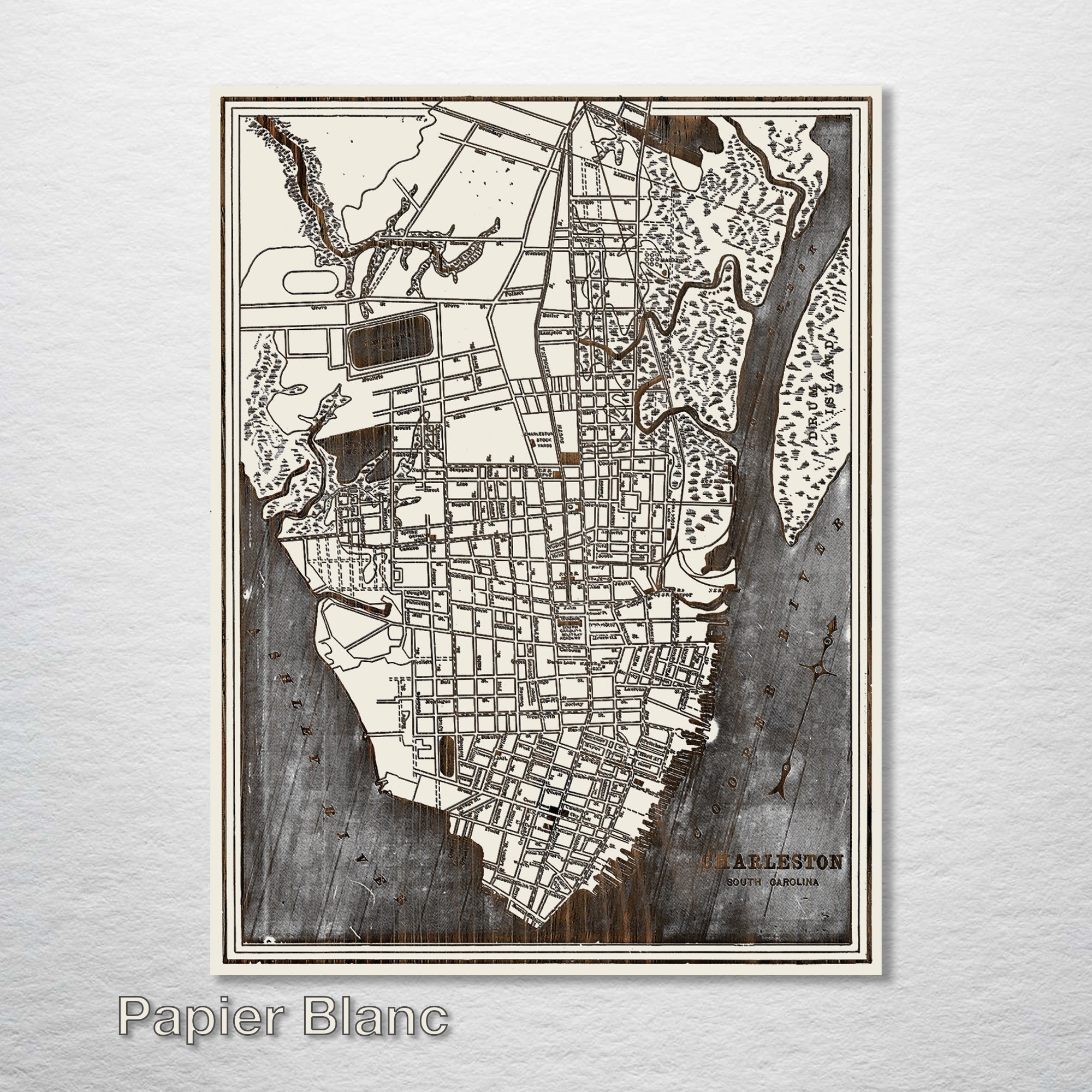 Charleston, SC 1898 - Historic Map on Wood