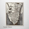Charleston, SC 1898 - Historic Map on Wood